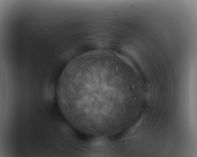 X0000089730077200706281557