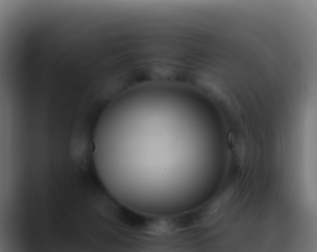 X0000089730079200706281557