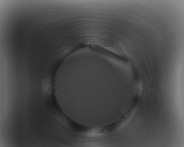 X0000089730080200706281557