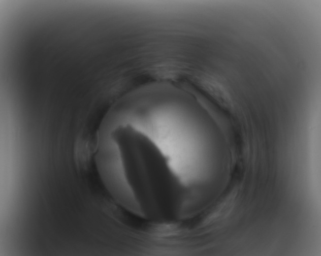 X0000089730081200706281557