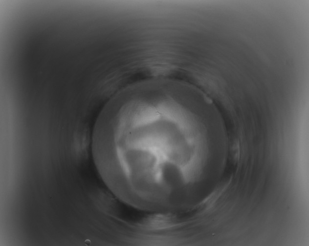 X0000089730082200706281557