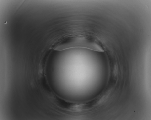 X0000089730084200706281557