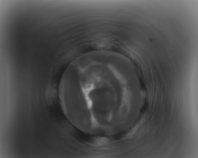 X0000089730085200706281557