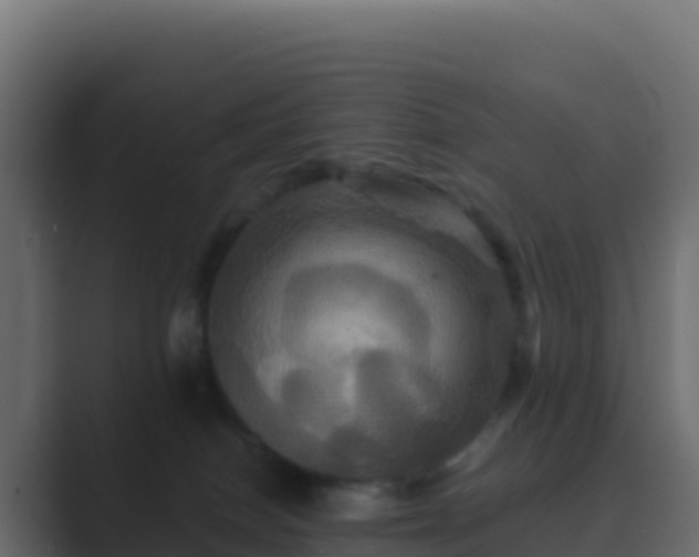 X0000089730086200706281557