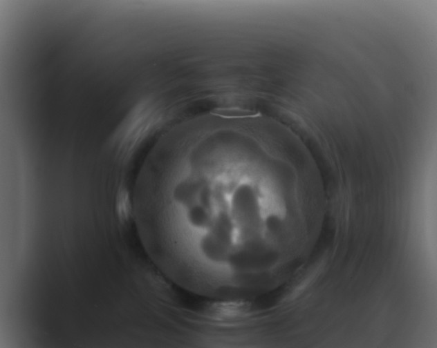 X0000089730089200706281557