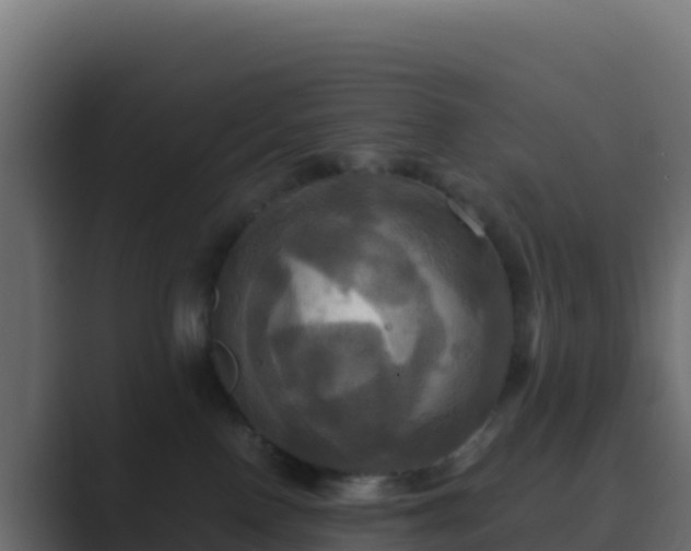 X0000089730090200706281557