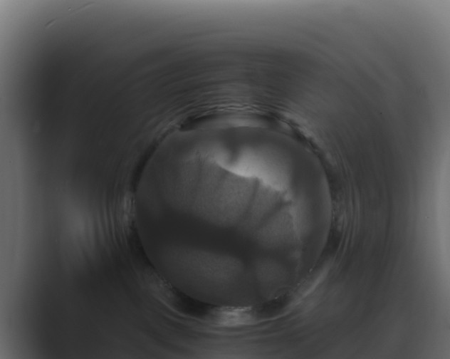X0000089730093200706281557
