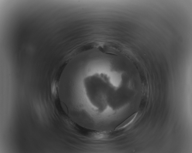 X0000089730094200706281557