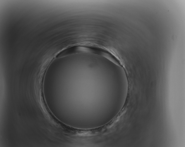 X0000089730097200706281556