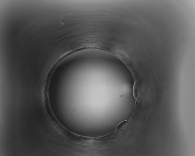 X0000089730098200706281556