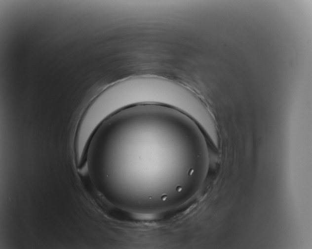 X0000089730099200706281556
