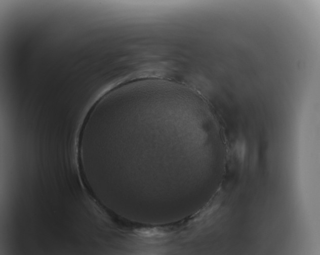 X0000089730100200706281556
