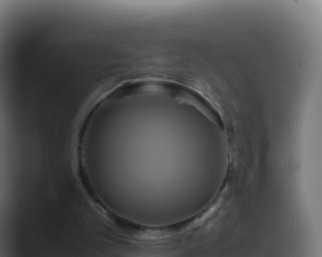 X0000089730101200706281556