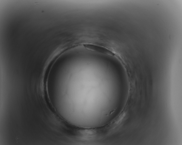 X0000089730102200706281556