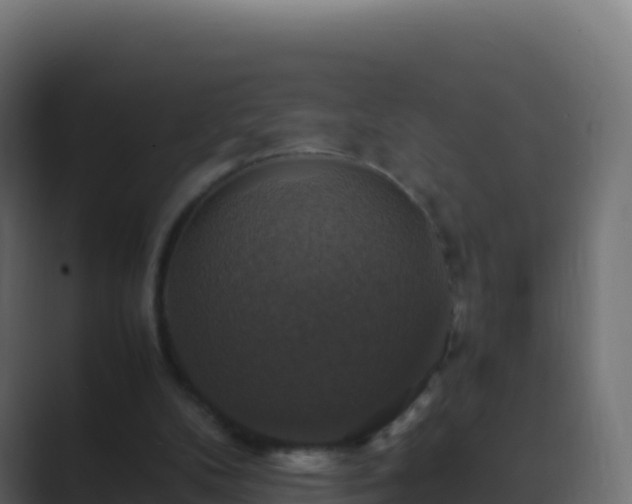 X0000089730104200706281556
