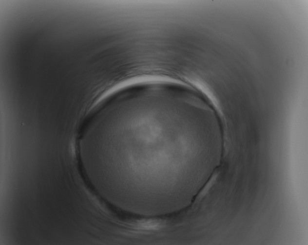 X0000089730105200706281556