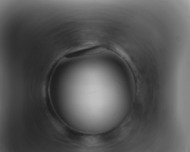 X0000089730106200706281556