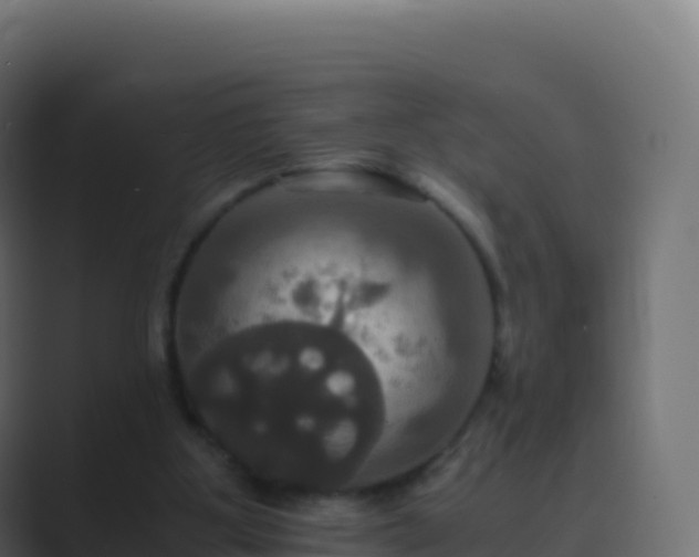 X0000089730107200706281556