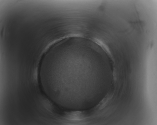 X0000089730108200706281556