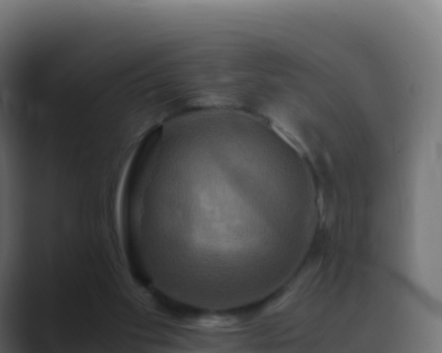 X0000089730109200706281556