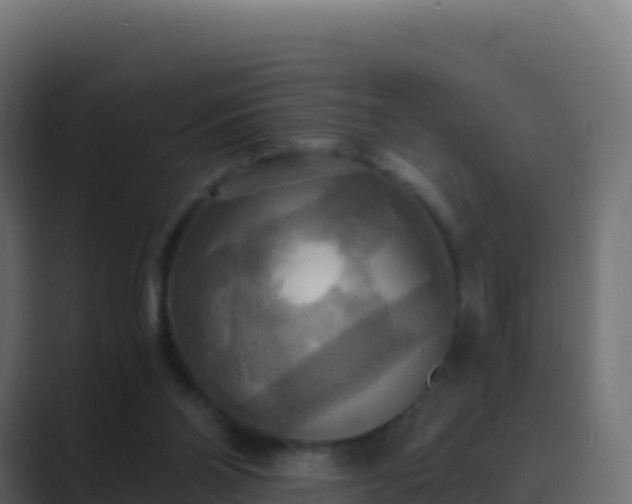 X0000089730110200706281556