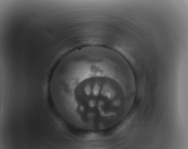 X0000089730111200706281556