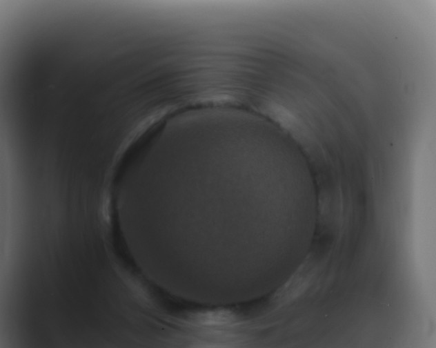 X0000089730112200706281556