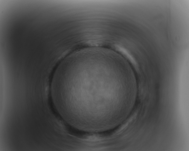 X0000089730113200706281556