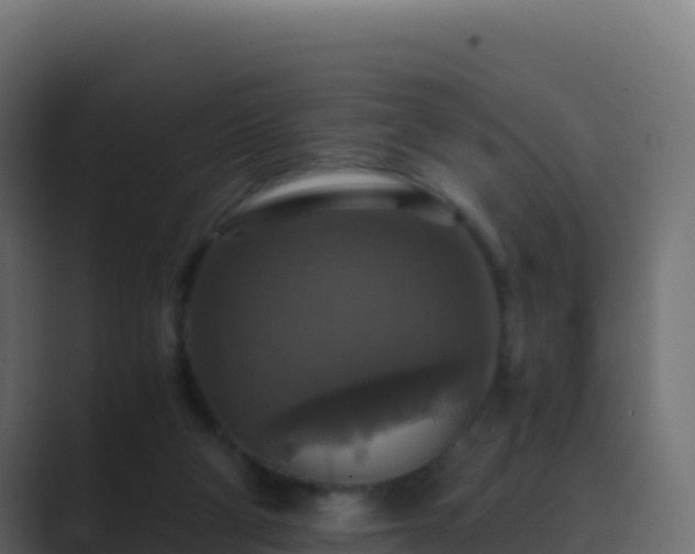 X0000089730114200706281556