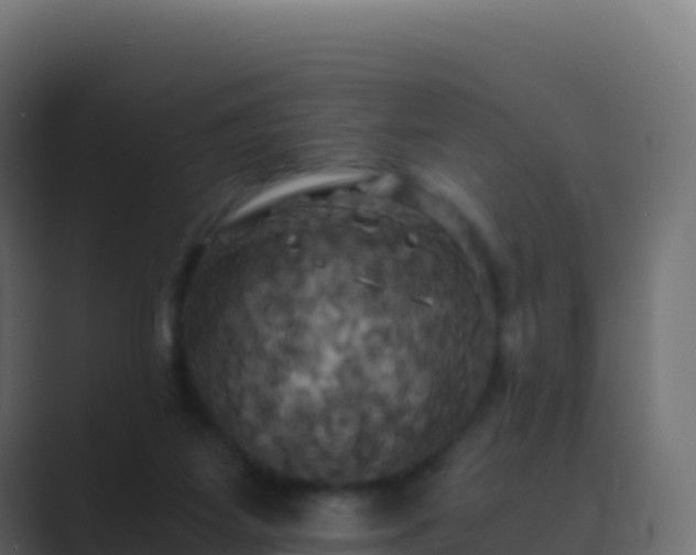 X0000089730115200706281556