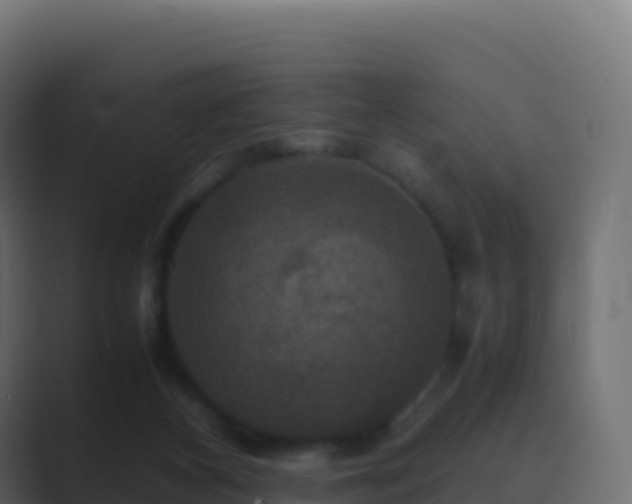 X0000089730116200706281556