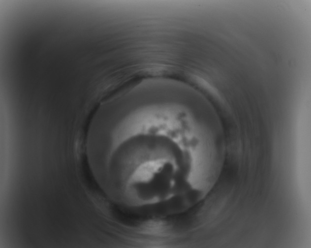 X0000089730119200706281556