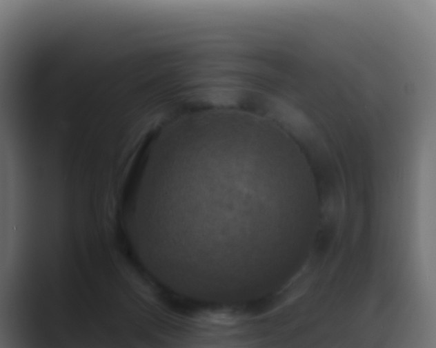 X0000089730120200706281556