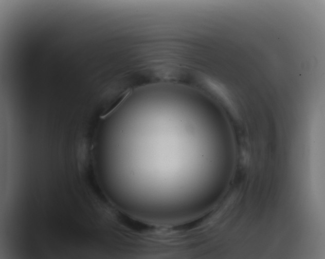 X0000089730121200706281556