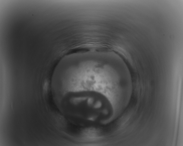 X0000089730123200706281556
