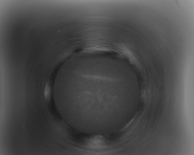 X0000089730124200706281556