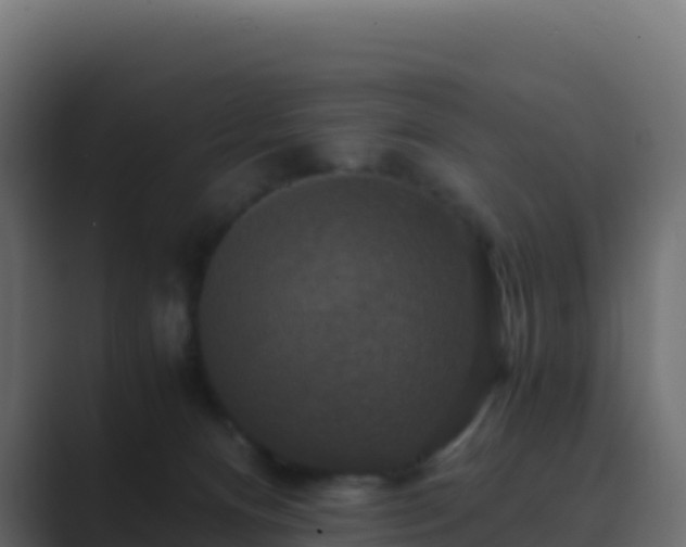 X0000089730128200706281556