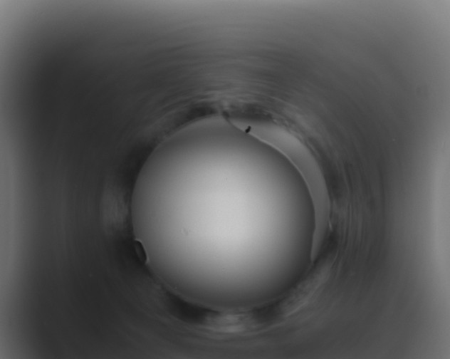 X0000089730129200706281556