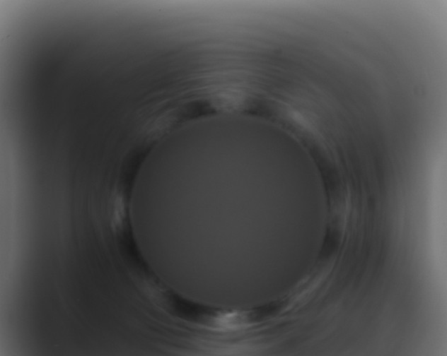 X0000089730130200706281556