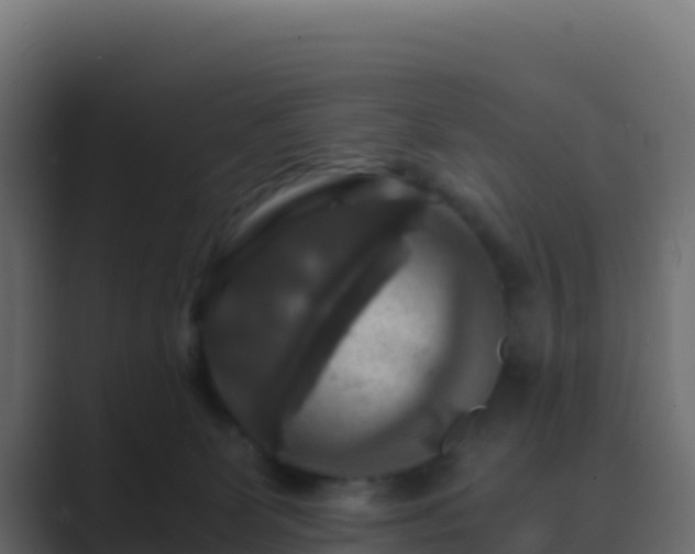 X0000089730131200706281556