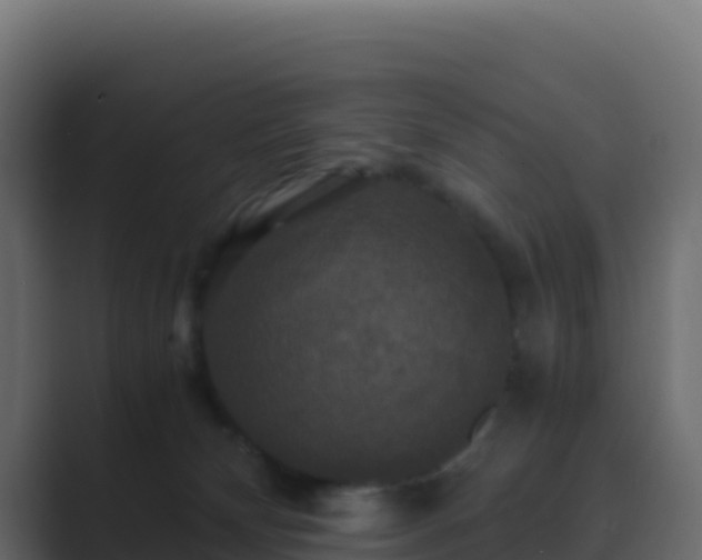 X0000089730132200706281556