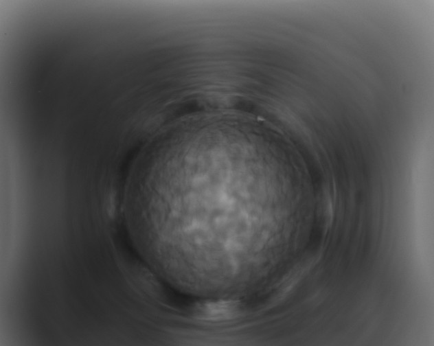 X0000089730134200706281556