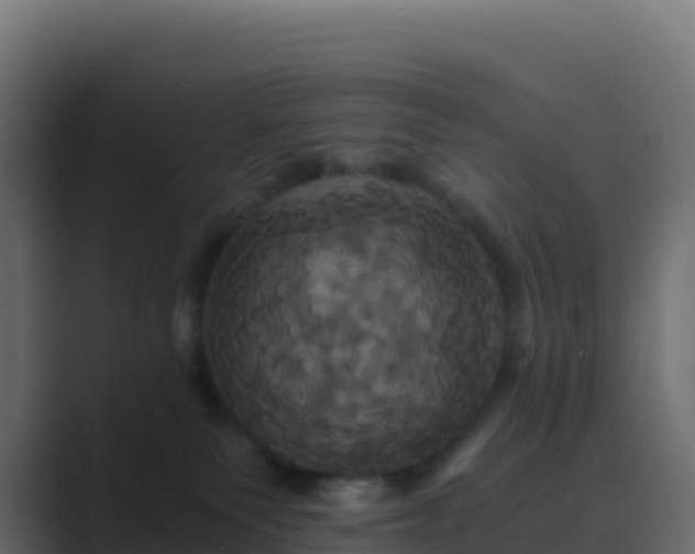 X0000089730135200706281556