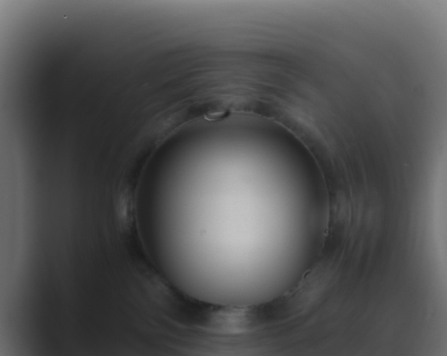 X0000089730138200706281556