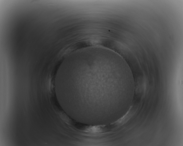 X0000089730140200706281556