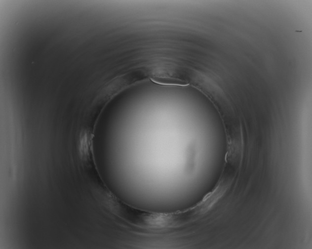 X0000089730142200706281556