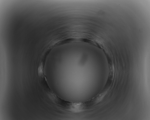 X0000089730143200706281556