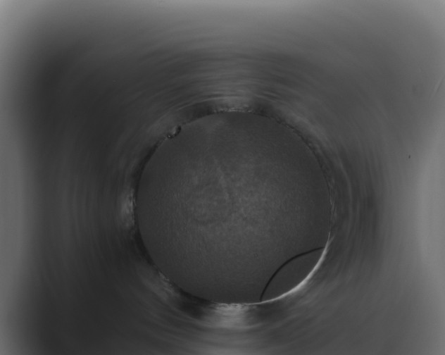 X0000089730144200706281556