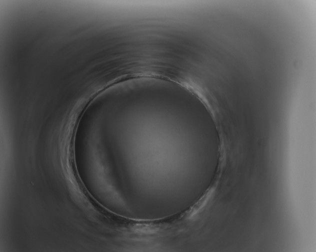 X0000089730145200706281555