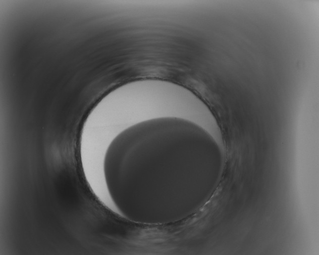 X0000089730146200706281555